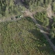 Deforestation Aerial - VideoHive Item for Sale