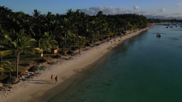 Beach Along the Waterfront and Coral Reef and Palm Trees Mauritius Africa Pier Near the Beach of the alt