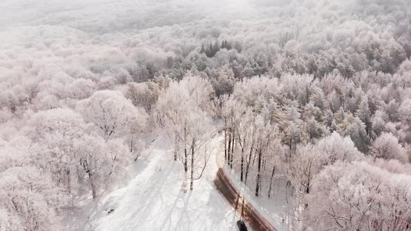 Cinematic View Person Stands By The Car With Forest Panorama alt