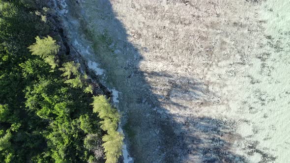 Low Tide in the Ocean Near the Coast of Zanzibar Island Tanzania alt