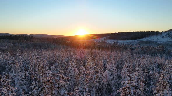 Aerial view of a forest in winter in Overtornea, Sweden. alt