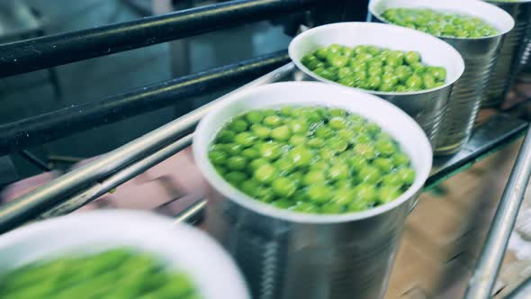Tin Cans Filled with Green Peas are Moving Along the Transporter alt