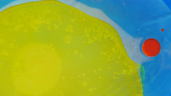 Moving Background Consisting of Blue Yellow Red and Green Particles of the Current Paint on a White alt
