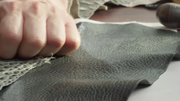 Touching Black Snake Leather with Hand Closeup Production Handmade Accessories Made of Genuine or alt