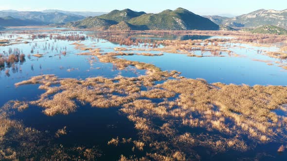 Yellow grass in the blue water of a marsh, surrounded by hills and mountain peaks. Lake Skadar alt