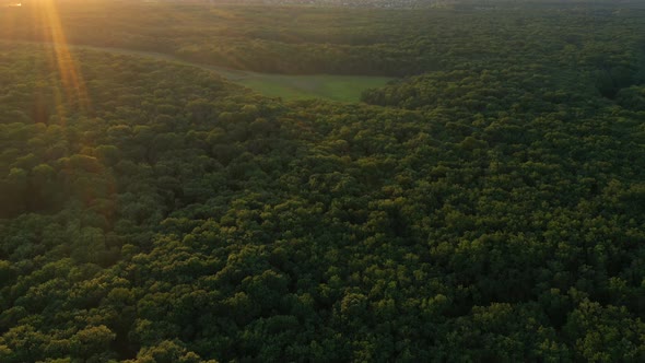 Aerial View Of Forest With The River And Lakes 8 alt