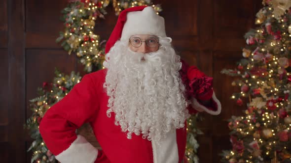 Portrait of Merry Santa Clause Holding Bag with Presents Near Christmas Tree alt