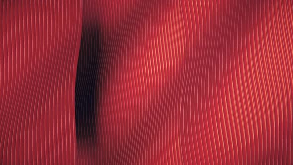 Abstract Red Wavy Lines Pattern