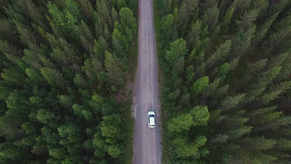 Aerial View of White Car Driving on Country Road in Forest