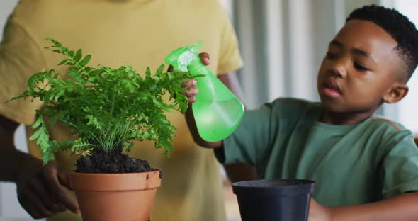 African american boy spraying water on the plant pot at home alt