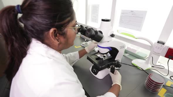 Indian Scientist Microscope Viewing