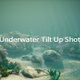 Underwater Tilt Up Shot