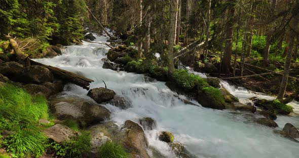 Mountain River in the Wood alt