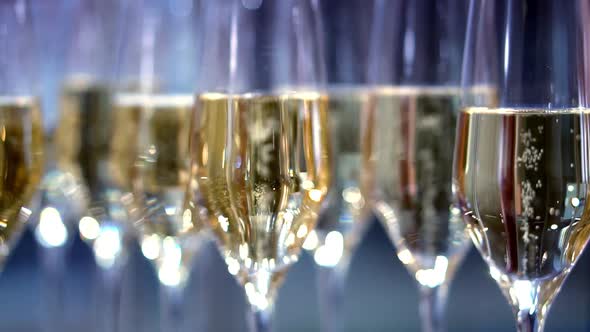 champagne in wine glasses. a sparkling wine. bubbles rise.  buffet table alt