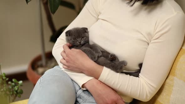 Woman sitting and hold in hand cute gray kitten, female hugging her cute
