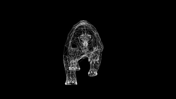 Plexus Bear black and white poly wireframe