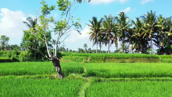Aerial travel of marine tourist beach break by blue sea with white sandy background of adventure nea alt