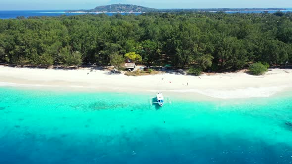Aerial drone shot texture of tropical seashore beach wildlife by blue lagoon with white sandy backgr alt