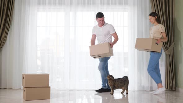 Couple Carries Big Cardboard Boxes to New House with Cat alt