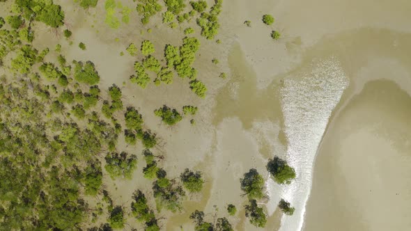 Aerial View On Low Tide In Queensland Australia 