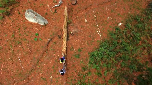 Couple hiking in the forest alt