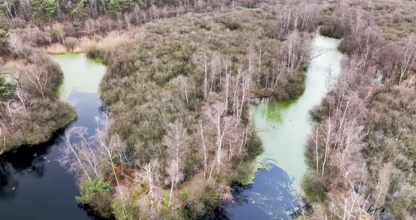 Aerial view of a nature area in Limburg, Netherlands. alt