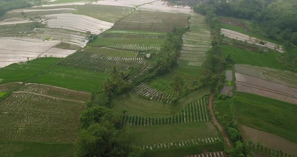 Flight over of tropical rice field, Magelang, Indonesia. Aerial view Rice terraces  taken from drone alt