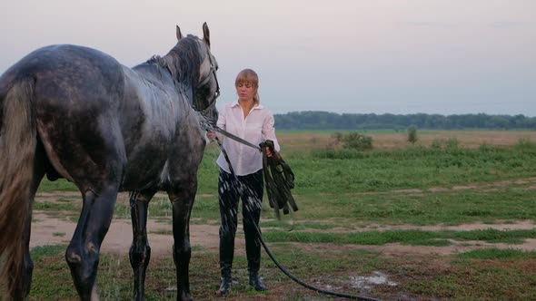 Woman Bathes the Horse Washes and Takes Care of