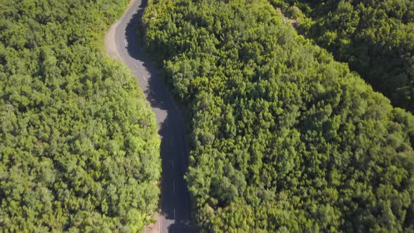 Aerial Top View of Beautiful Road Through the Green Forest