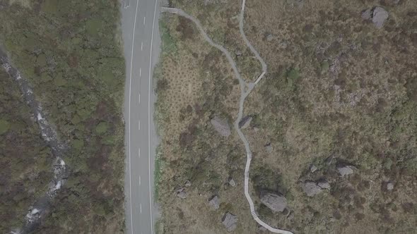 Top-down view of an empty road