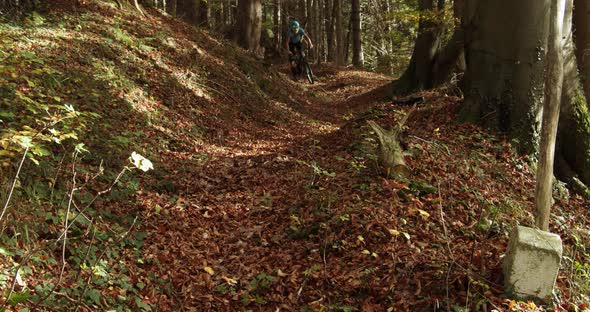 Full shot, downhill biker grinding the trail in Chiemgauer Alpen, dry leaves and trees in the backgr alt