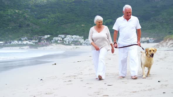 Happy senior couple walking with dog on the beach alt