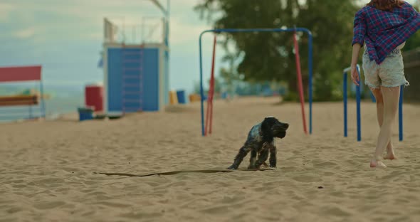 Girl Walks with a Puppy on the Sand Playing with a Pet on the Beach alt