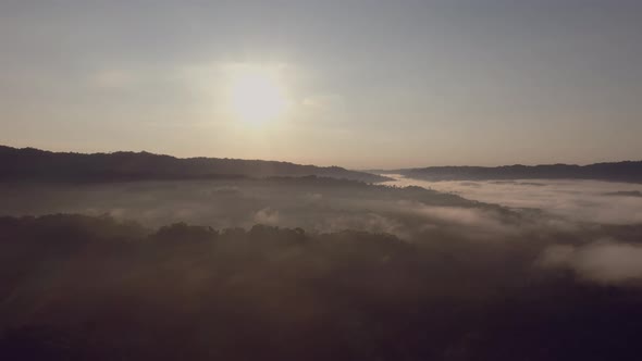 A misty morning at a tropical rainforest slowly going backwards revealing more of the landscape alt
