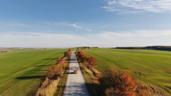 Aerial View of Autumn Road Car. Skyl View Country Road in Autumn. Field and Highway Road Drone View