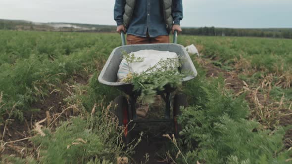 Farm Worker Pushing Cart alt