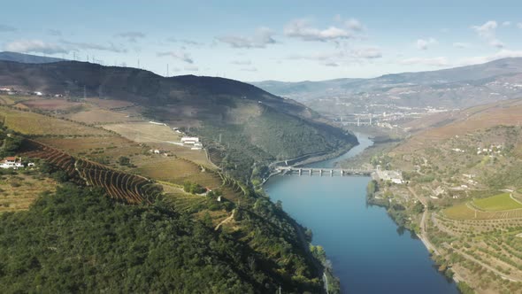 Douro River with Green Hills Covered Vineyards of Peso Da Regua Vila Real alt