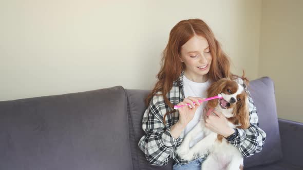 Young Woman Sits at Home on the Couch and Brushes Her Dog's Teeth