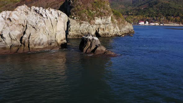 A Flock of Cormorants Resting on a Rock in the Sea of Japan alt