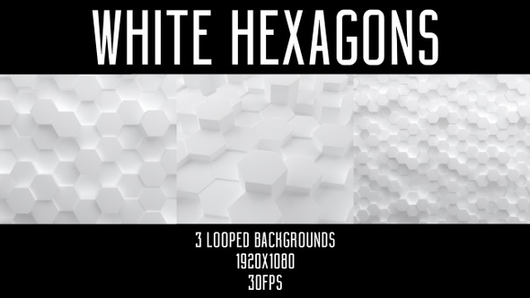 White Hexagons alt