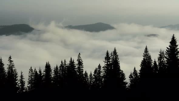 Time Lapse Fog Floating in Mountain Valley with Pine Forest Foreground alt