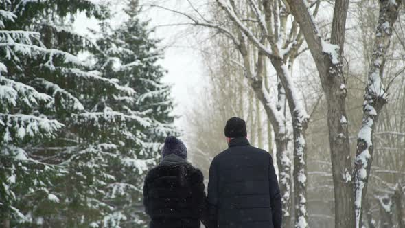 Couple Walking in Snow Day alt