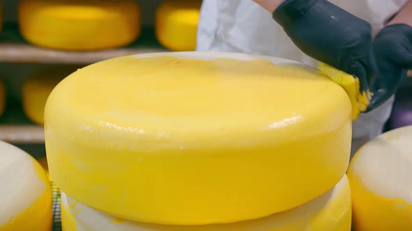 Cheese Production. The Worker Covers the Cheese with Wax. Cheese Factory alt