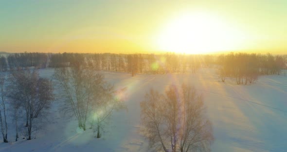 Aerial Drone View of Cold Winter Landscape with Arctic Field Trees Covered with Frost Snow and alt