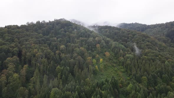 Aerial View of the Carpathian Mountains in Autumn. Ukraine alt