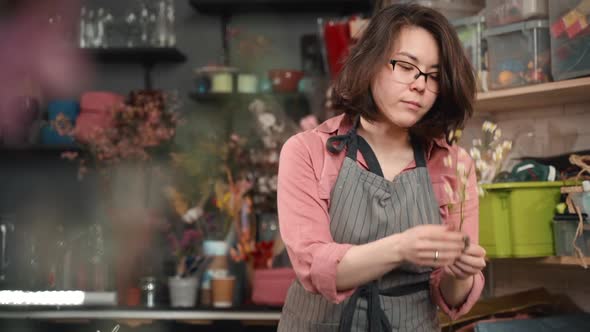Woman Florist Prepares Chamomile Flowers for Bouquet Tears Leaves in Shop. Ripping Leaves Off