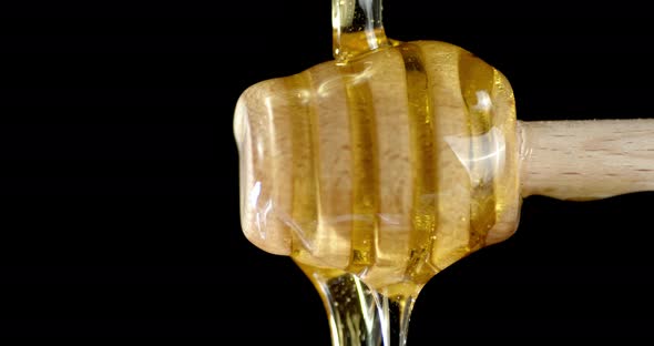 Fresh Honey Flows Down a Wooden Spoon.