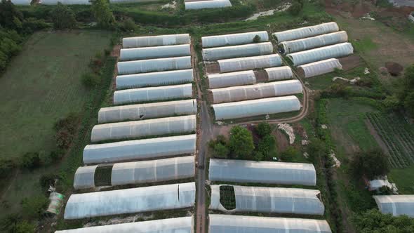 Aerial Greenhauses in Field alt