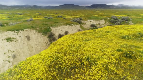 Cinematic Close Up Aerial on Sandy Canyon in Middle of Famous San Andreas Fault alt