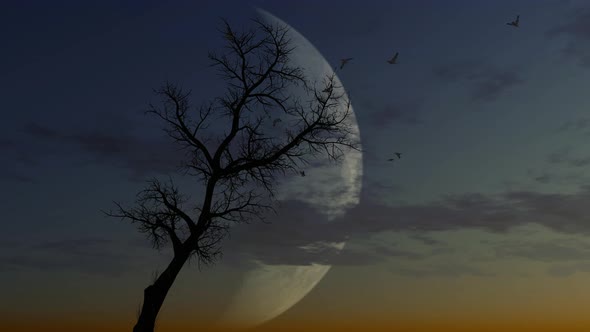 Epic Tree With Moon In Background